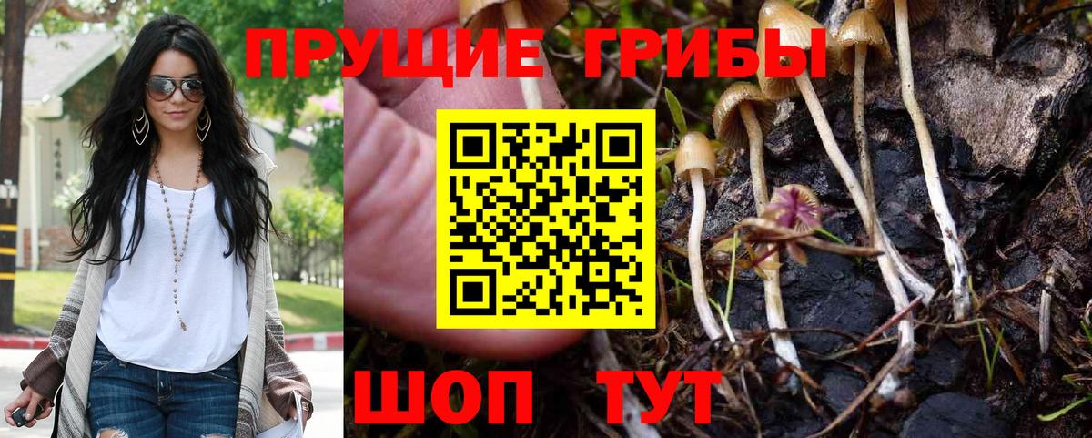 Галлюциногенные грибы GOLDEN TEACHER Павлово